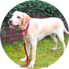 生後8ヶ月(男の子)